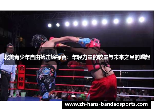 北美青少年自由搏击锦标赛：年轻力量的较量与未来之星的崛起