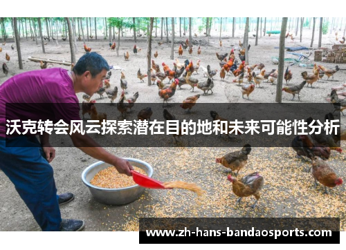 沃克转会风云探索潜在目的地和未来可能性分析