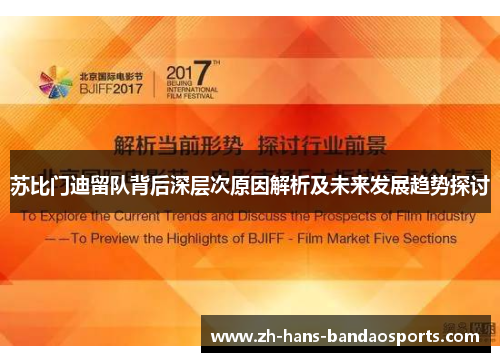 苏比门迪留队背后深层次原因解析及未来发展趋势探讨