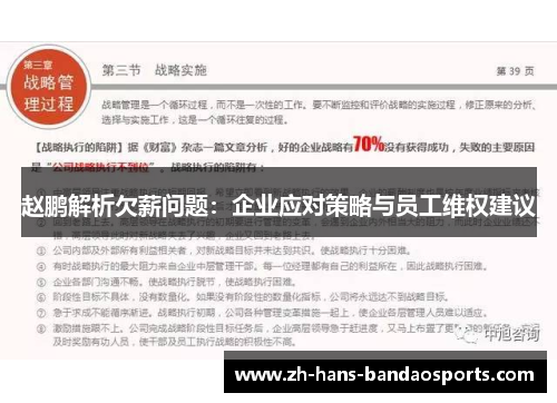 赵鹏解析欠薪问题：企业应对策略与员工维权建议
